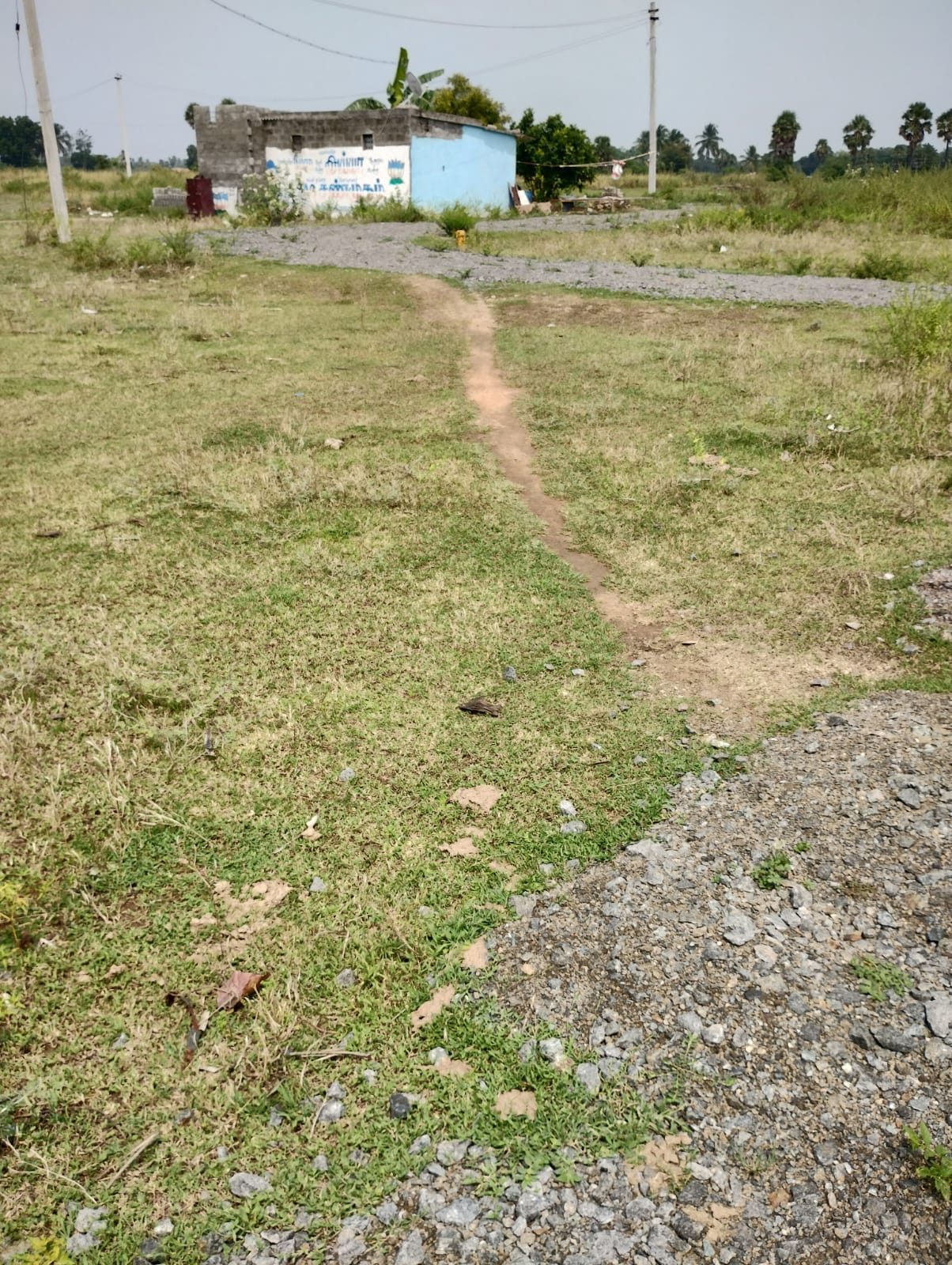 Residential Plot in Vellore — photo 3