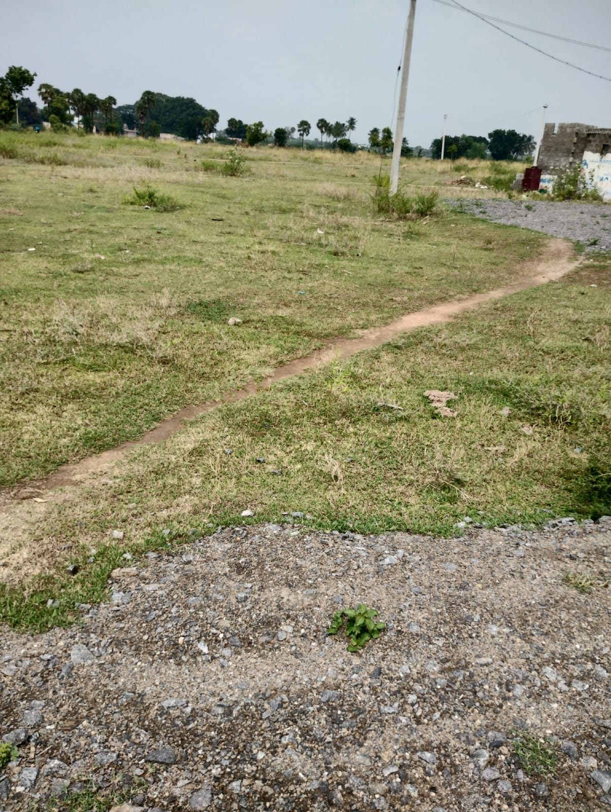 Residential Plot in Vellore — photo 4