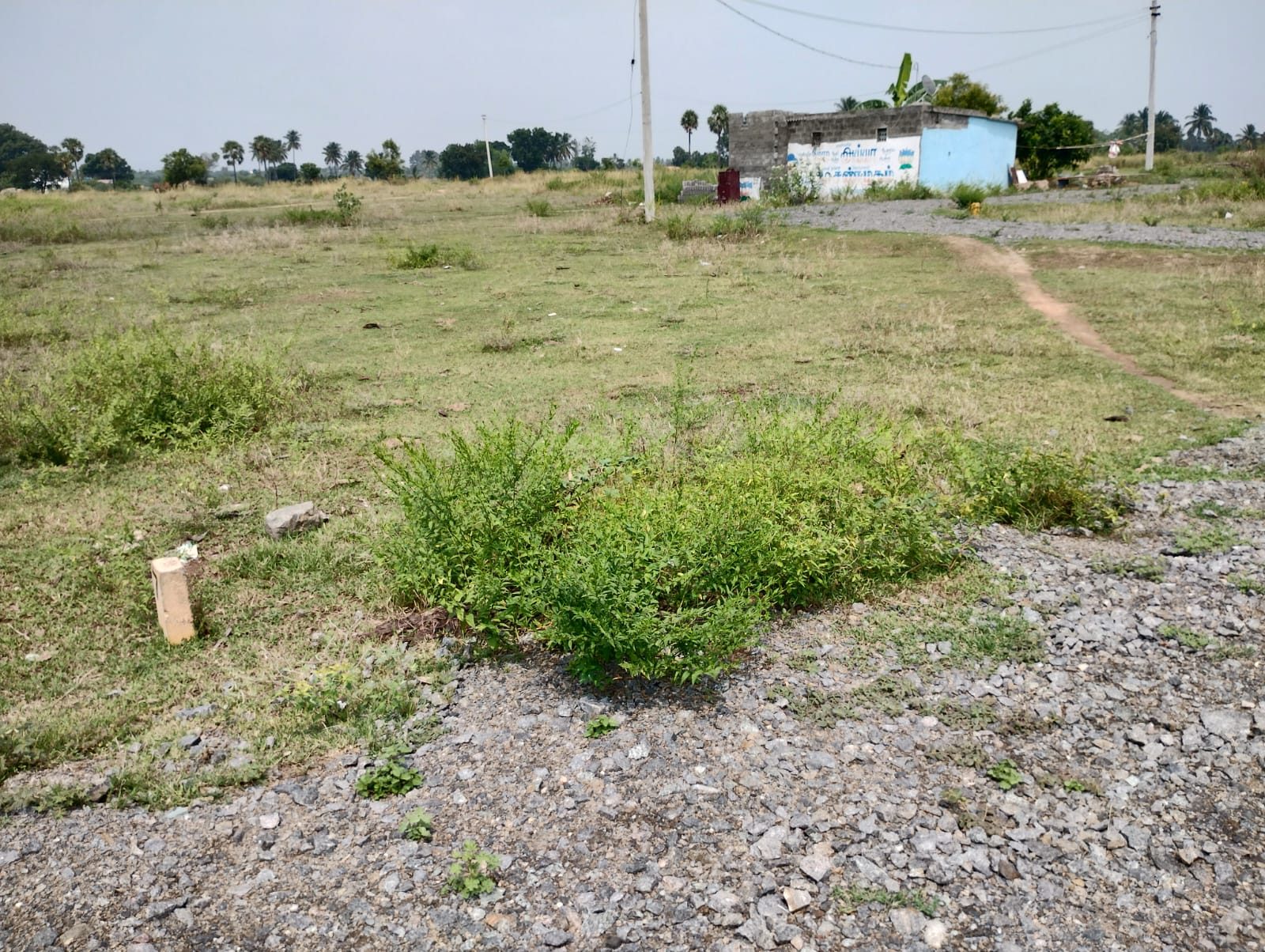 Residential Plot in Vellore — photo 2
