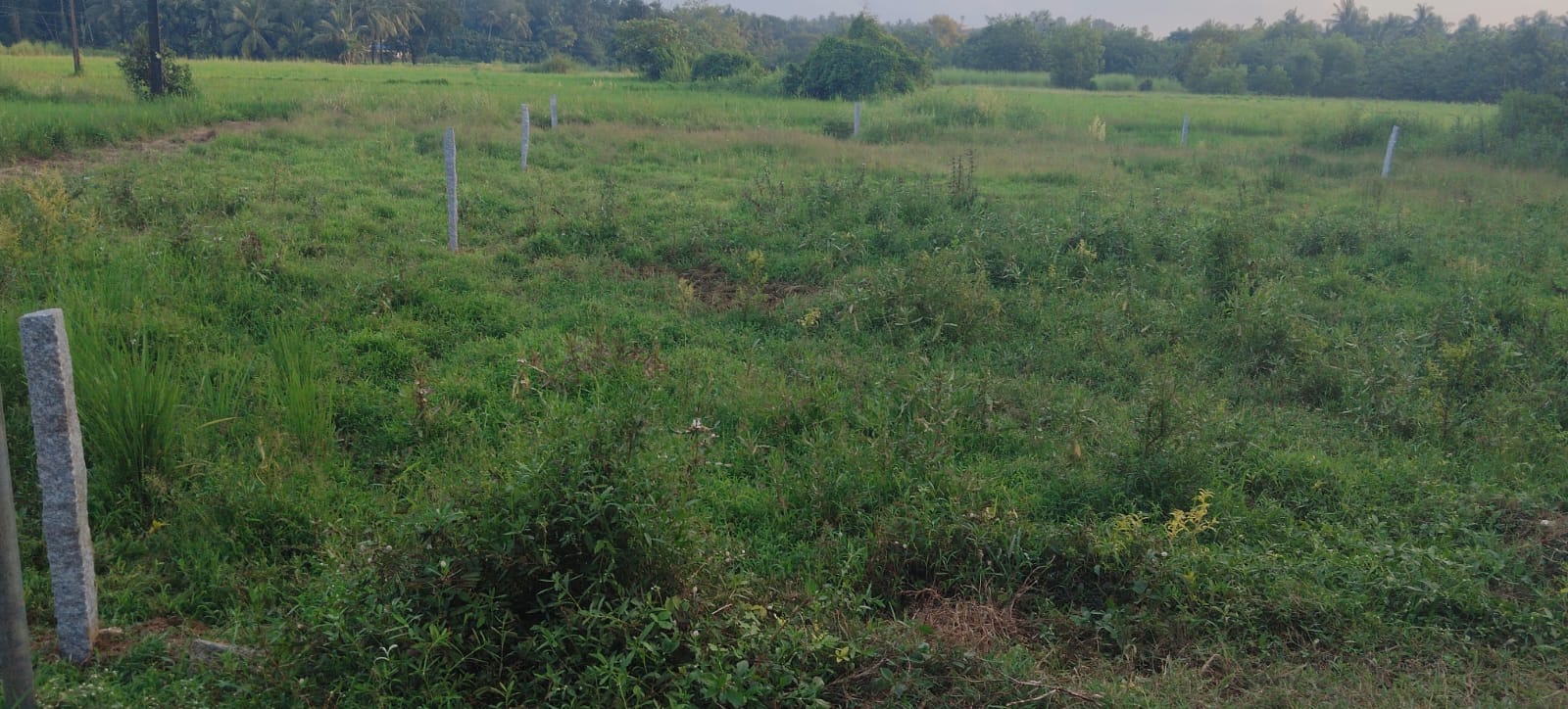 Plot / Land in Udupi kathapady — photo 2