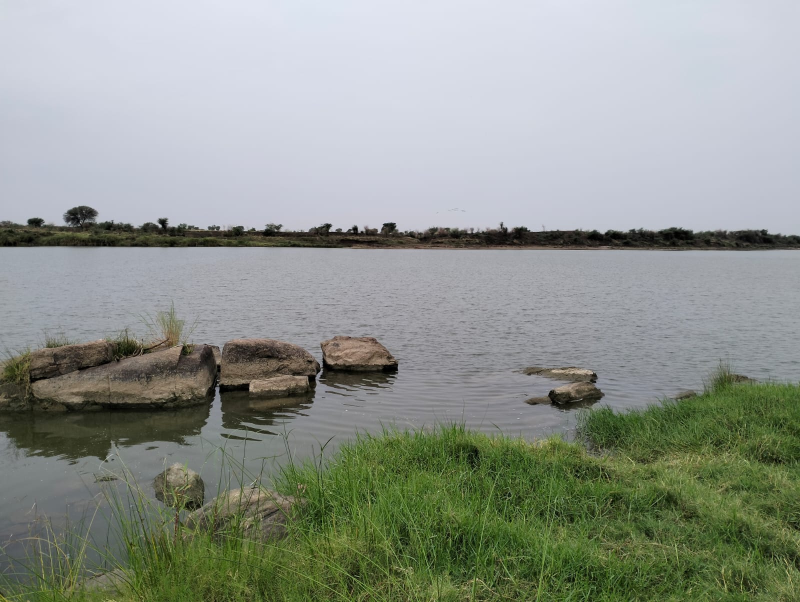 Agricultural Land in Yadgir — photo 3