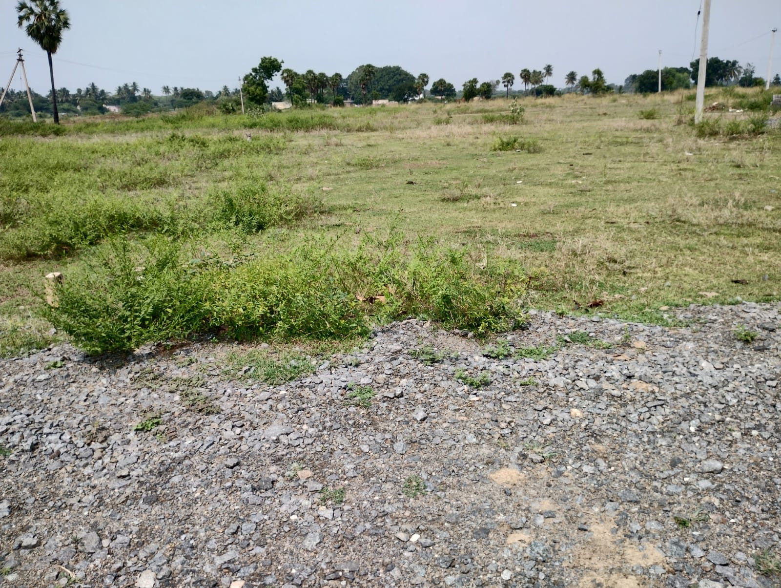 Residential Plot for sale in Vellore