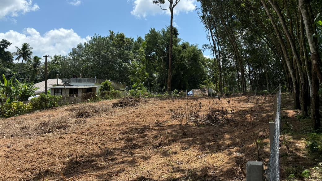 Residential Plot in Anad — photo 2